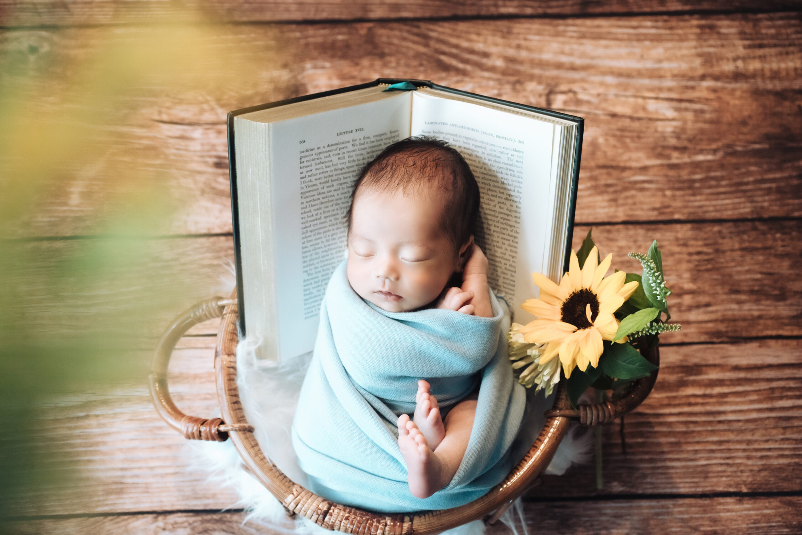 ニューボーンフォト 高崎・前橋 focus newborn photo